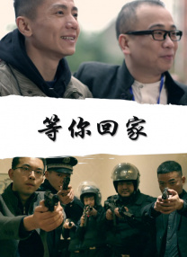 国产20页